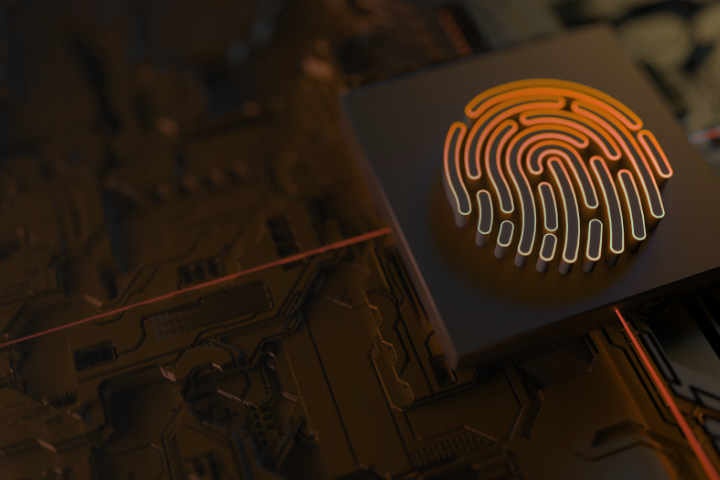 Secure Digital Identity Fingerprint