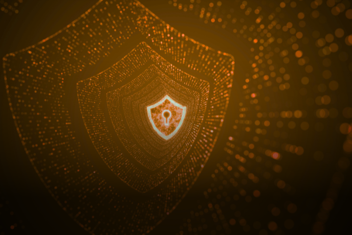 Cryptographic Security Shield
